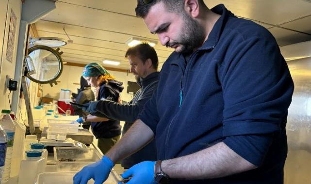 Biyoçeşitlilikte Ekim ayı araştırması tamam