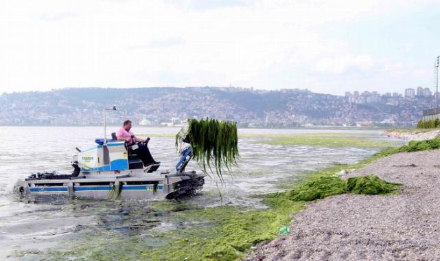 Dere, deniz ve kıyılardan 49 kamyon katı atık