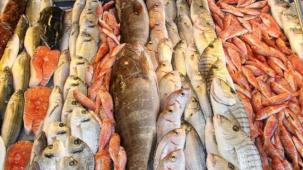 Egeli balıkçılar ihracatta 1 milyar doları aştı