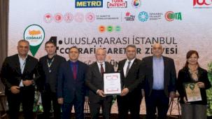 'Boğaziçi Lüferi' coğrafi tescile kavuştu