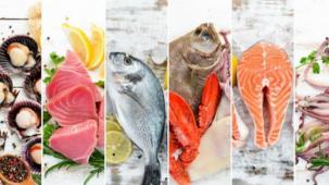 Su ürünleri ihracatta lokomotif oldu