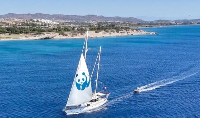 'Blue Panda' Mavi Ormanlar için Türkiye'de