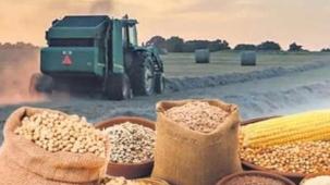 Tarım-ÜFE'de Temmuz verileri açıklandı