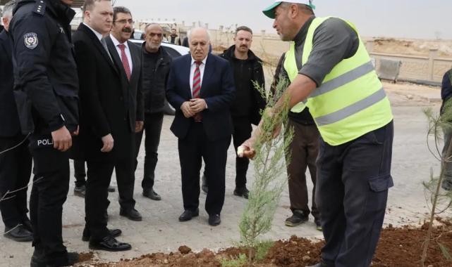 Mardin Yeşilli 2.ci OSB’de binlerce ağaç toprakla buluştu