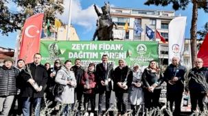 Denizli'de zeytin fidanları toprakla buluşuyor