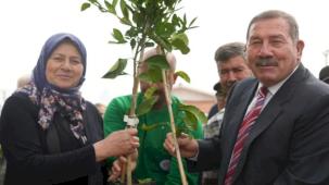 Muğla Milas'ta üreticilere fidan desteği sağlandı