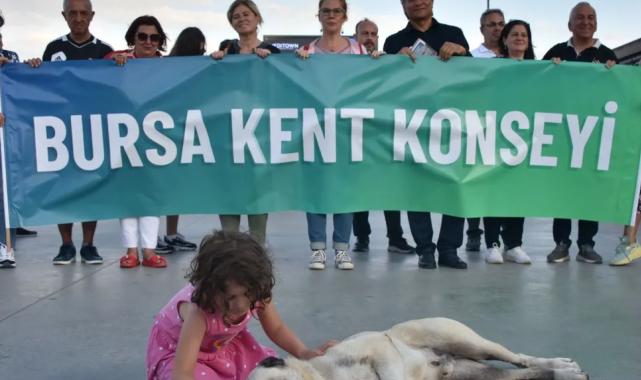 Bursa Kent Konseyi'nden Gemlik'teki yavru kedi vahşetine kınama!