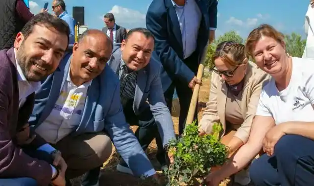 İzmir Güzelbahçe’de sakız ağaçları büyüyecek