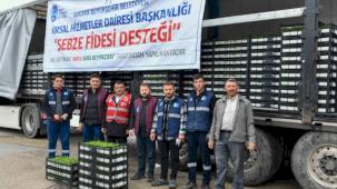 Ankara'da 1 milyonun üzerinde erkenci sebze fidesi dağıtıldı