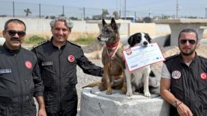 Ares ve Rex, uluslararası sınavda zirvede