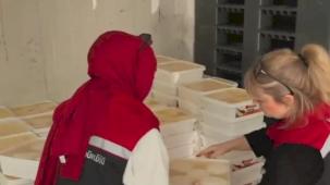 Bayrampaşa'da dev gıda denetimi... 35 ton peynire el kondu!