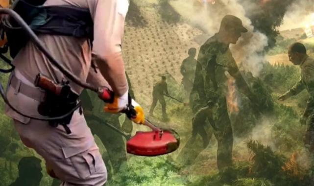Diyarbakır'da uzaktan algılama ile zehir tacirlerine geçit verilmedi! Milyonlarca kök kenevir ele geçirildi