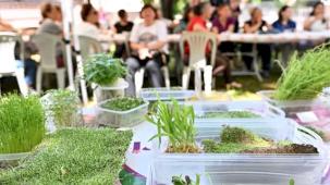 Antalya Muratpaşa'da minyatür bahçeler şekillendi