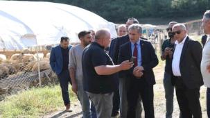 Bursa Gemlik'te Kurban Pazarı’nda satışlar başladı