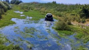 Bursa'da sinekle mücadele tüm hızıyla sürüyor