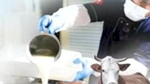 Denizli'de Kurban Bayramı kampanyası