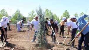 Diyarbakır'da engelliler fidan dikerek geleceğe nefes oldu