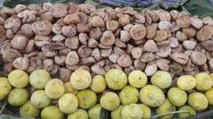 Kuru üzüm ve kuru kayısı da ihracat başarısı