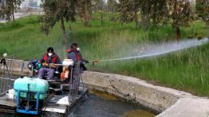 İstanbul'da sivrisinekle mücadelede önlemler arttı