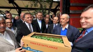 İstanbullu çiftçilere karşılıksız destekler sürüyor