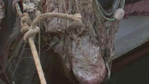 İzmir’de su ürünleri denetimlerinde ceza yağdı