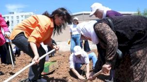 Kent Kadın Bostanları projesi Mardin Artuklu’da hayata geçti