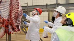 Kocaeli'de kurban kesim başvuruları 15 Mayıs’ta başlıyor