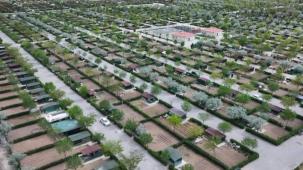 Konya Karatay'da hobi bahçelerinde üretim zamanı