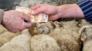 Kurbanlıklar yüzde 25 arttı!