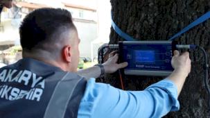 Sakarya'dan doğaya ‘şifa’ gibi adım... Yeşil cennetin tomografisi çekilecek