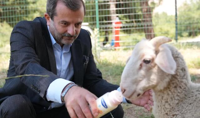 Bursa Gürsu'ya butik hayvanat bahçesi