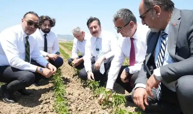 Bursa Yenişehir tarımı Afrika'ya açılıyor