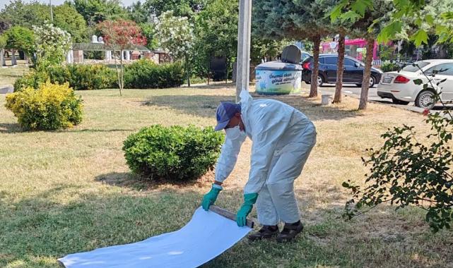 İstanbul Büyükşehir'den kene ile mücadele