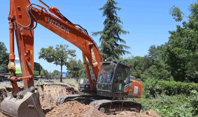 Kocaeli'de sökülen ağaçlar geleceğe taşınıyor
