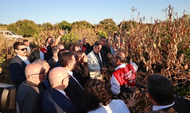 Mersin'de narenciye bahçelerine 'zirai don' incelemesi