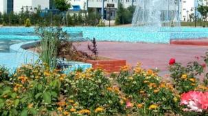 24. Uluslararası Sapanca Şiir Akşamları başlıyor
