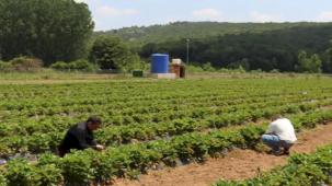 Kocaeli İzmit’te genç girişimcilere destek