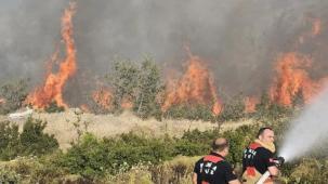 Manisa Büyükşehir Akhisar'daki yangın bölgesinde