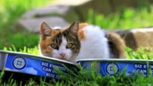 Muğla üretiyor, can dostlar tüketiyor