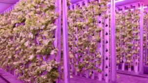 Ordu’da tarımda yeni dönem