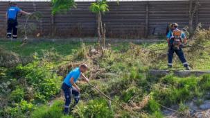 Sakarya'da 'Çark'ta hummalı temizlik