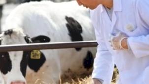 Tarımsal girdiler Nisan'da da hız kesmedi... Veteriner harcamaları ve hayvan yemi revaçta