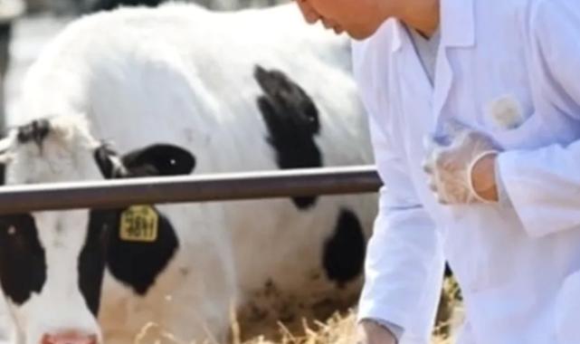 Tarımsal girdiler Nisan'da da hız kesmedi... Veteriner harcamaları ve hayvan yemi revaçta