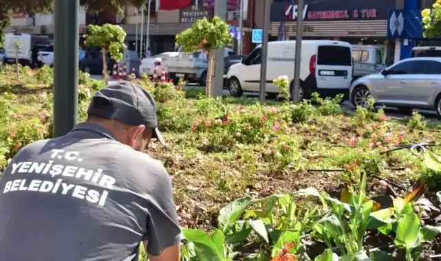Bursa Yenişehir'in kalbi çiçek açtı