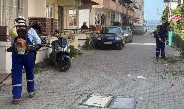 Bursa'da Gemlik Belediyesi'nden Kumla’ya yaz temizliği desteği