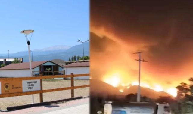 Bursa'da yangından etkilenen hayvanlara el açtılar