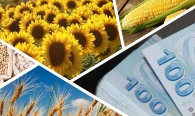 Çiftçilere 1,7 milyar TL'lik destek ödemesi hesaplarda