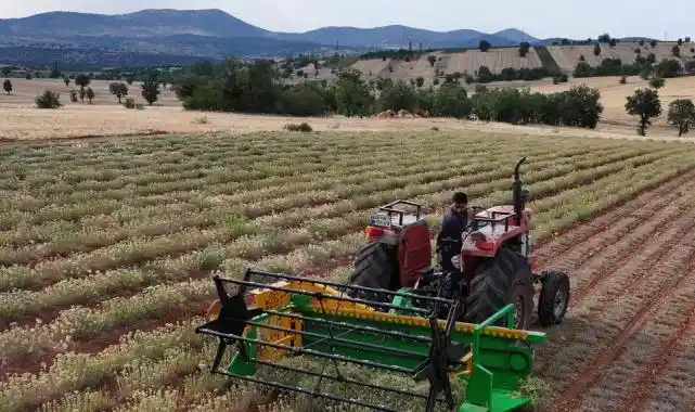 Kuraklığa dirençli tarımda yeni dönem