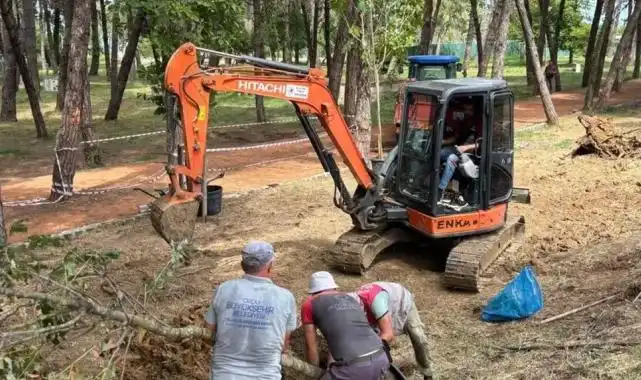 Ordu Ünye Çamlık’ta doğa yenileniyor