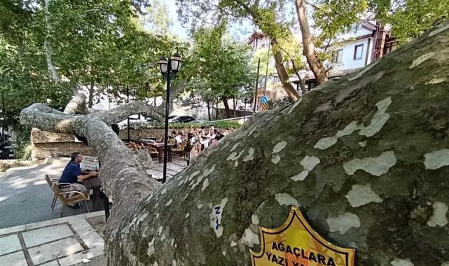 Osmanlı'dan günümüze... Bursa İnkaya'da görkemli gölge
